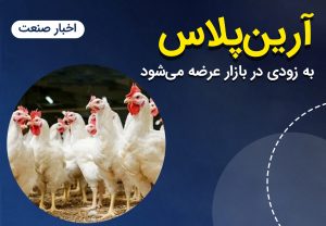 مرغ آرین‌پلاس به زودی در بازار