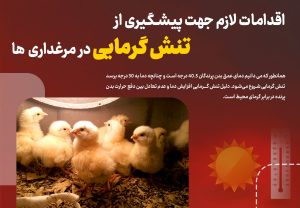 اقدامات لازم جهت پیشگیری از تنش گرمایی در مرغداری ها