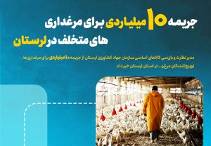 جریمه ۱۰ میلیاردی برای مرغداری‌های متخلف در لرستان