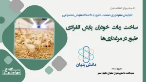 افزایش بهره‌وری صنعت طیور با کمک هوش مصنوعی