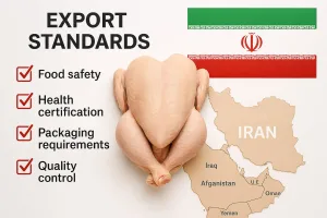 استانداردها و الزامات صادرات مرغ گوشتی به کشورهای همسایه ایران