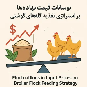 تأثیر نوسانات قیمت نهاده‌ها بر استراتژی تغذیه گله‌های گوشتی در ایران + راهکارهای عملی